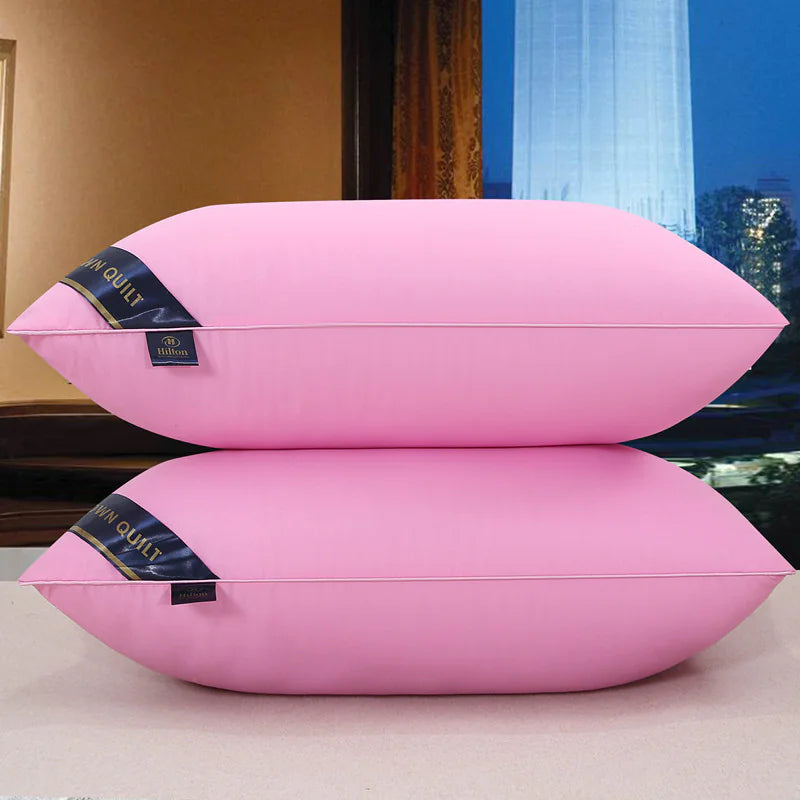 Hotel And Home Pillow Core Protect Cervical Spine